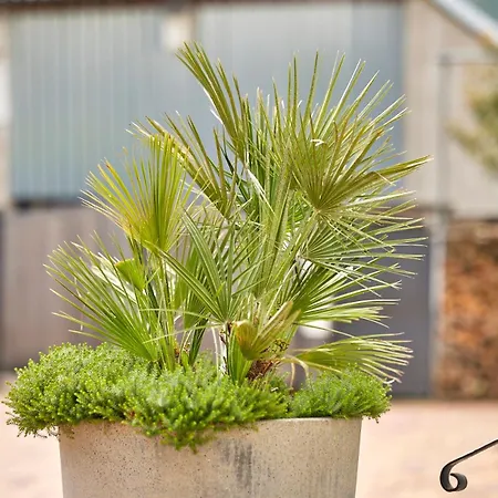 住宿加早餐酒店 Siz 泽汀恩拉蒂