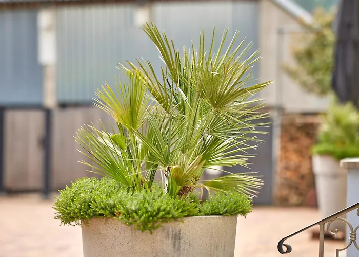 住宿加早餐酒店 Siz 泽汀恩拉蒂